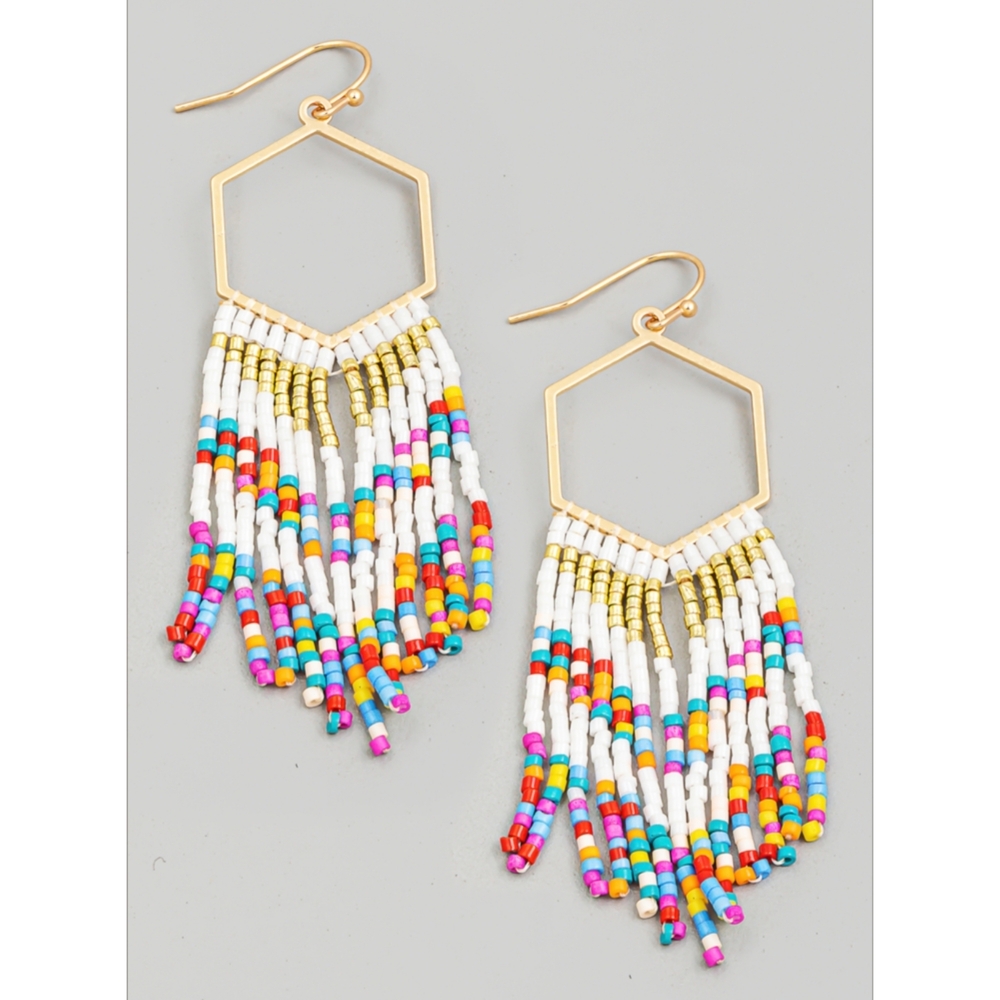 Multicolor Seed Beaded Hexagon Fringe Earrings